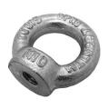 High Quality Drop Forged Din582 Lifting galvanized eye ring nut